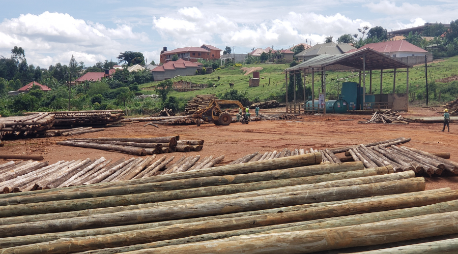 Buyara Pole Treatment Plant